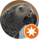 Hungry Vegas profile picture